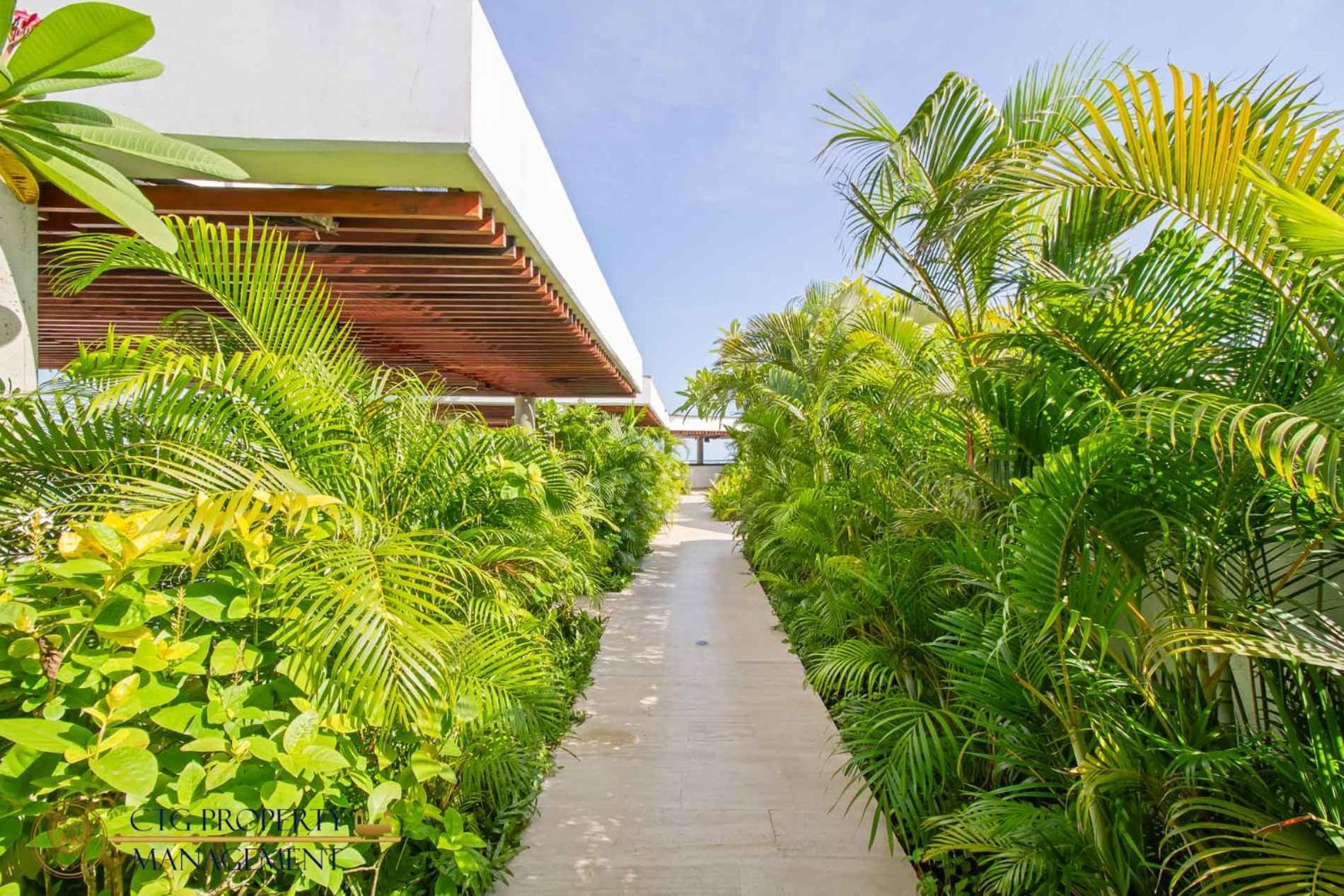 Martinique Cartagena - Apartamentos A Corta Caminata De Playa Azul Eksteriør bilde